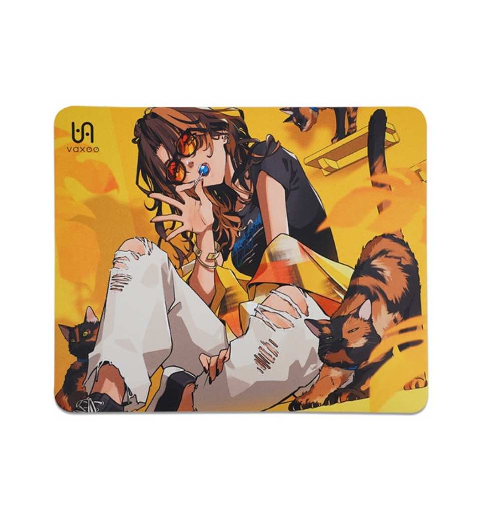 PA Summer25 Series  - Tortoiseshell Cats